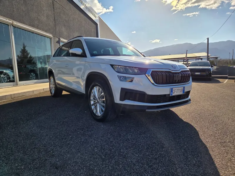 Škoda Kodiaq 2.0 TDI 150 CV DSG Executive