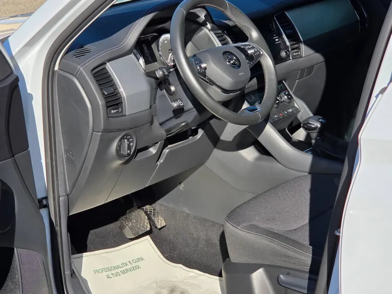 Škoda Kodiaq 2.0 TDI 150 CV DSG Executive