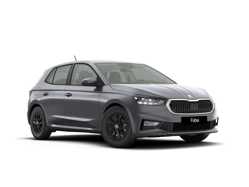 Škoda Fabia 1.0 MPI 90 CV Your Way