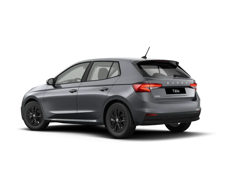 Škoda Fabia 1.0 MPI 90 CV Your Way