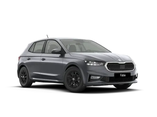 Škoda Fabia 1.0 MPI 90 CV Your Way