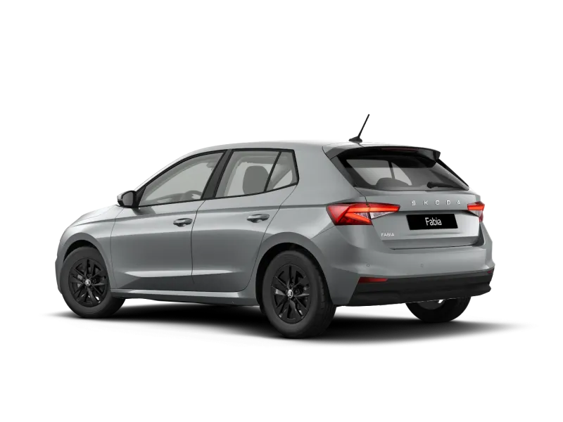 Škoda Fabia 1.0 MPI 80 CV Your Way
