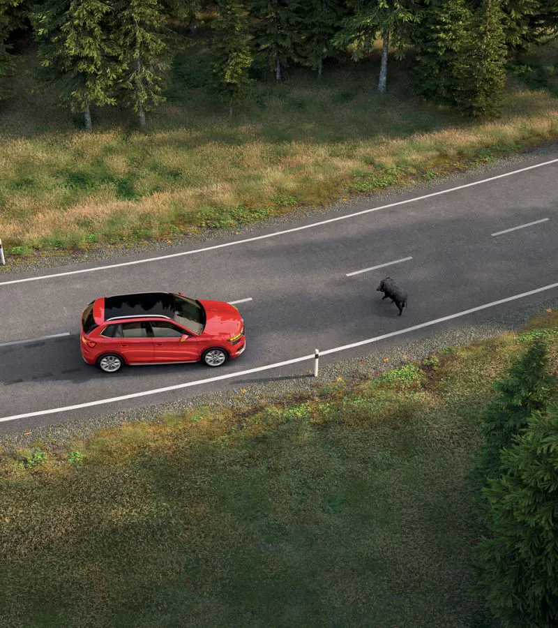 Crew Protect Assistant