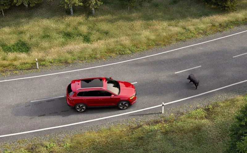 Crew protect assistant