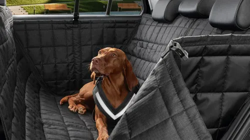 Accessori Škoda per gli amici a quattro zampe