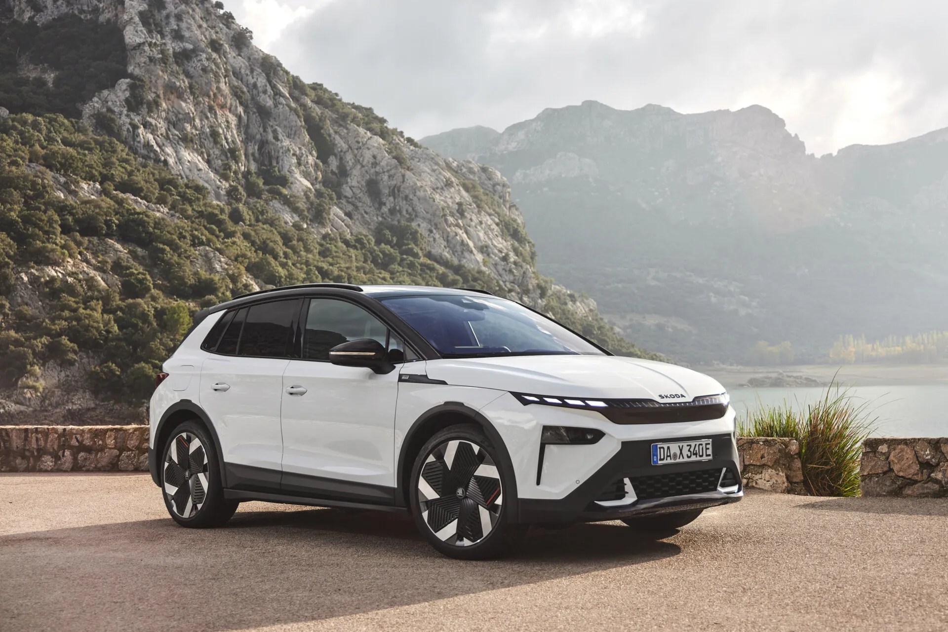 Ecoincentivi Elettrico